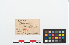 Etikett zu Bernsteinschieber (NHMW-PRAE-025202)